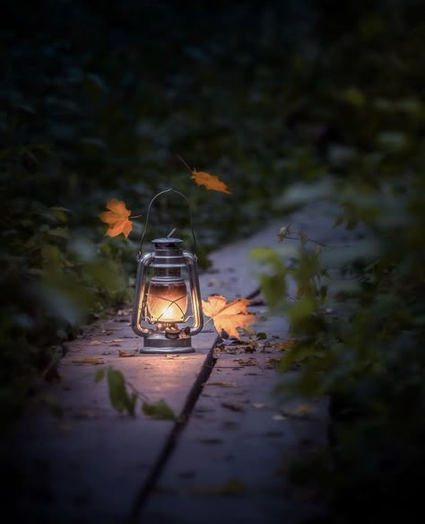 Lanterns Aesthetic, Lantern Aesthetic, Myanmar Flag, Glowing Lantern, Lanterns Light, Evening Pictures, Books Photography, Desktop Background Pictures, Dhoni Wallpapers