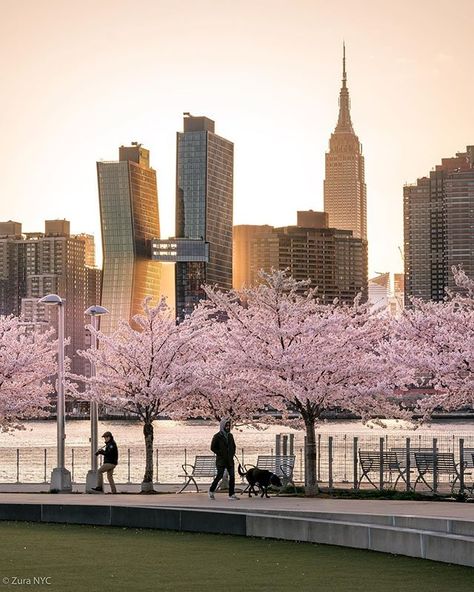 appy First day of Spring ! 💛☀️🌸✨ . Took this photo last year from Long Island City, Queens. . Long Island City Queens, Walking Nyc, Liberty Island, Places In New York, Washington Square Park, Island City, New York Photos, First Day Of Spring, Beautiful Forest