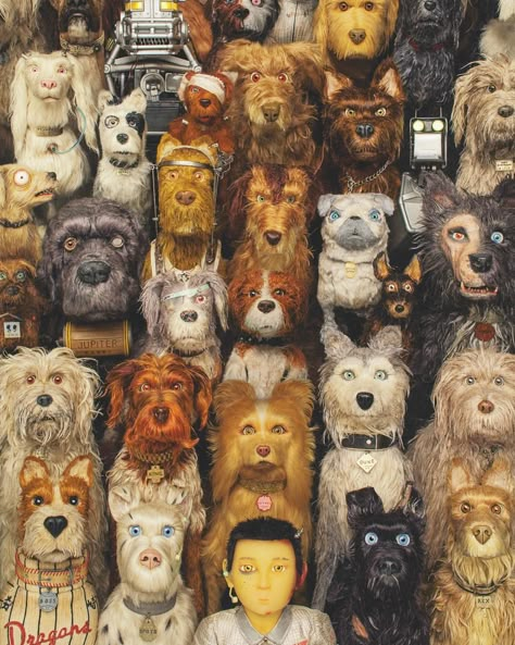 With Wes Anderson's animated caper Isle of Dogs out on March 30th, Jonathan Dean sat down with the cast and director to talk about the film… Laika Dog, Wes Anderson Aesthetic, Tiny Dog Breeds, Before The New Year, Wes Anderson Movies, Wes Anderson Films, Dog Movies, Isle Of Dogs, Green Book