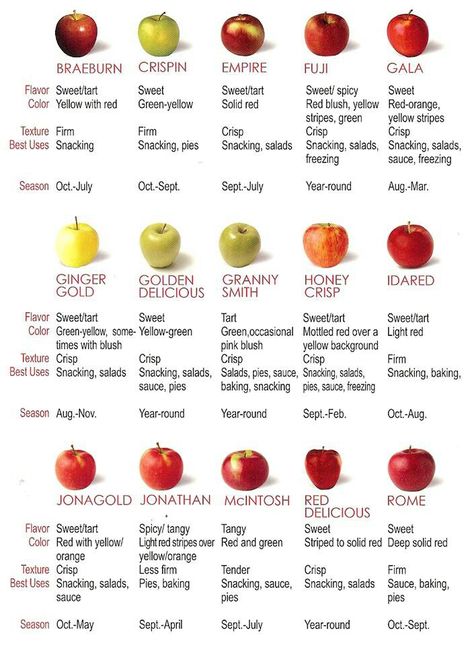 Apple Guide Apple Chart, Types Of Apples, Apple Types, Apple Varieties, Food Charts, Food Info, Sweet Tarts, Food Facts, Fruit Recipes