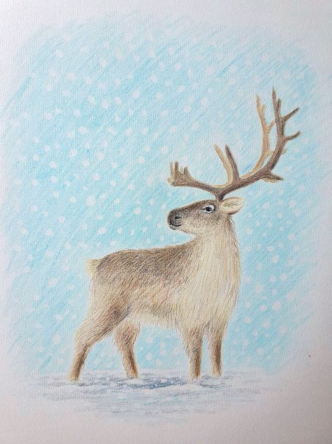 How to draw a reindeer Easy Reindeer Drawing, Draw A Reindeer, Best Watercolor Pencils, Watercolor Paint Ideas, Svalbard Reindeer, Reindeer Drawing, Birthday Drawings, Best Sketchbook, Classic Poems