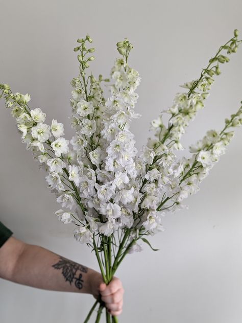 White Hybrid Delphinium, Delphinium White, White Delphinium, Delphinium, Wedding Dreams, Styled Shoot, Flower Decorations, Fall Wedding, White Flowers