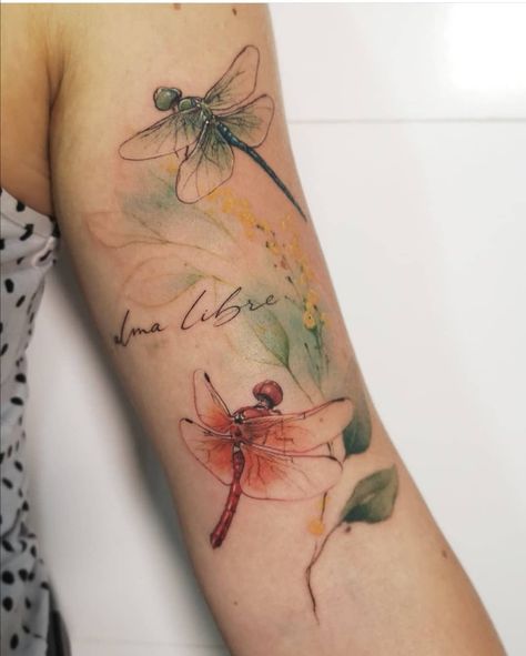 Dragonfly Tattoo Ideas, Watercolor Dragonfly Tattoo, Alaska Tattoo, Watermelon Tattoo, Dragonfly Tattoos, Classy Tattoos For Women, Small Dragonfly Tattoo, Amazing 3d Tattoos, Dragonfly Tattoo Design