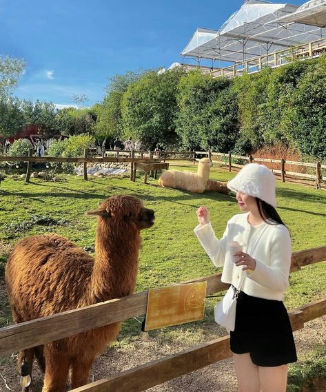 Zoo Outfit, Safari Outfit, Zoo Photos, Prom Picture Poses, Korean Photo, Alpaca Farm, Farm Clothes, Farm Photo, Beach Photography Poses