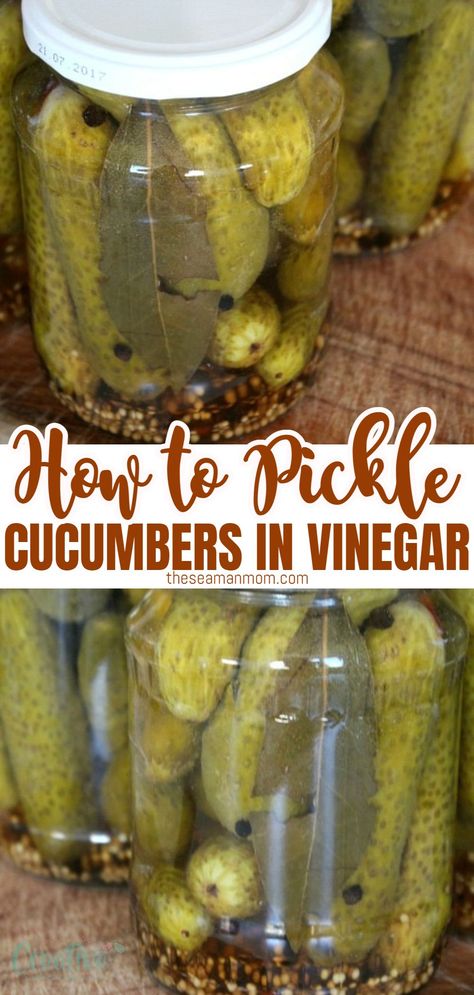 Pickled cucumbers are great to serve next to a steak, a stew or in burgers. Learn how to pickle cucumbers at home with this very easy, family recipe! Cucumbers In Vinegar, How To Pickle Cucumbers, Pickled Cucumbers Recipe, Pickle Cucumbers, Pickles Canning, Vinegar Cucumbers, Dill Recipes, Pickled Cucumbers, Pickling Spice