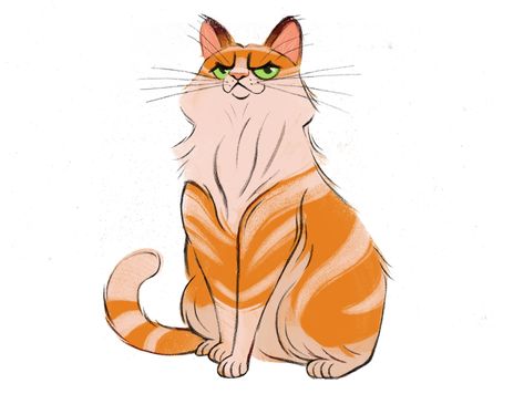 Arrogant Cat by NTAB STUDIO on Dribbble Arrogant Character Design, Arrogant Cat, Long Hair Cartoon, Cat Sketches, Cat Sketch, Illustration Product, Cat Character, Cat Drawing, Cartoon Cat