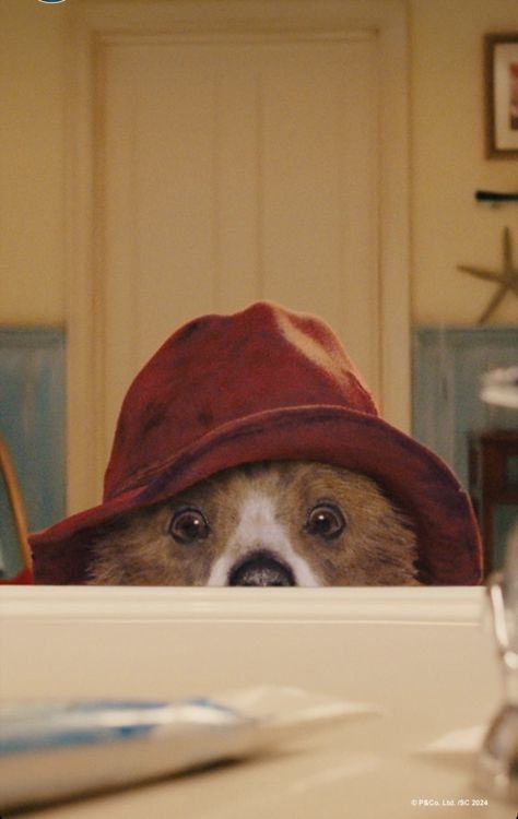 Paddington Bear Wallpaper, Paddington Wallpaper, Paddington Aesthetic, Paddington Movie, Paddington Film, Paddington Bear Party, Oso Paddington, Paddington 2, Cute Iphone Wallpaper Tumblr