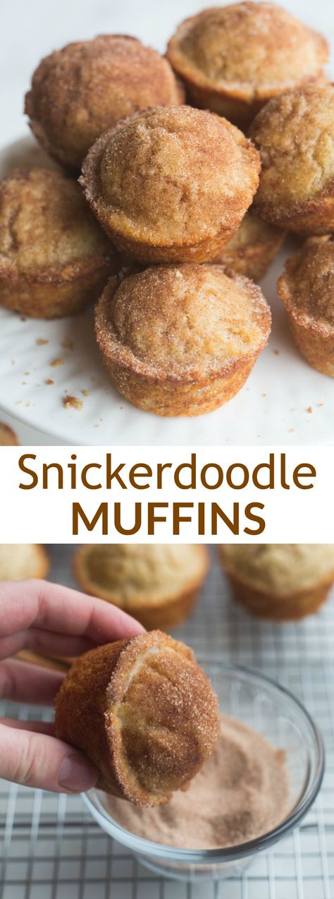 Snickerdoodle Mini Muffins, Snicker Doodle Muffins, Breakfast Recipes With Biscuits, Recipes With Biscuits, Snickerdoodle Muffins Recipe, Muffins From Scratch, Snickerdoodle Muffins, Snicker Doodle, Tastes Better From Scratch