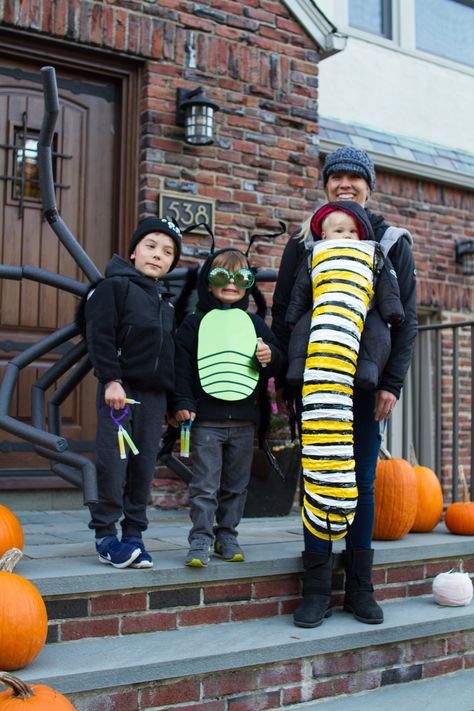 Bug Family Costume, Beetle Costume Diy, Spider Family Costume, Catapillar Costume, Spider Diy, Insect Dress, Monarch Butterfly Costume, Butterfly Halloween Costume, Caterpillar Costume