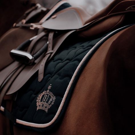 Pixelberry Choices, Vogue Lifestyle, Pjo Cabins, Royal Romance, Game Aesthetic, Equestrian Aesthetic, Horse Aesthetic, Random Aesthetic, English Riding