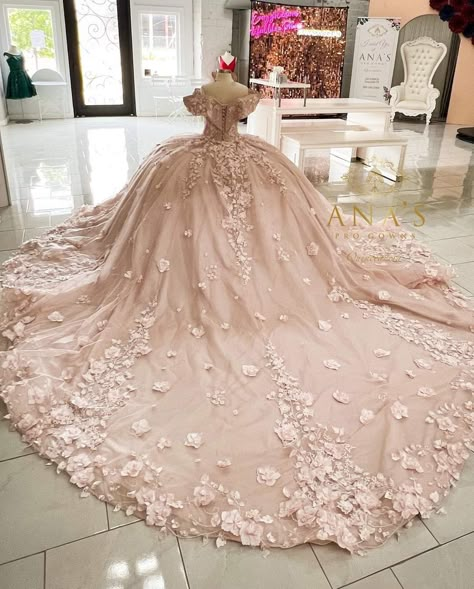 Pink Quince Dress With Cape, Quinceanera Dresses Pink Butterflies, Pink Quince Dress With Sleeves, Champagne Pink Quinceanera Theme, Sleeping Beauty Quinceanera Theme Dress, Quinceanera Dresses Beige, Dusty Rose Quinceanera Dresses, Aurora Sleeping Beauty Quinceanera Theme, Rose Quinceanera Dresses