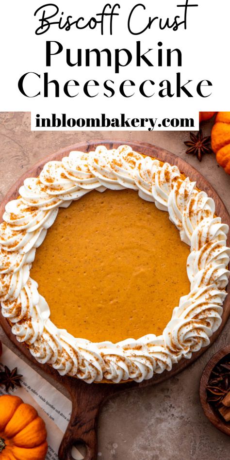 Butternut Bakery Pumpkin Cheesecake, Pumpkin Biscoff Cheesecake, Pumpkin Cheesecake Topping, Biscoff Pumpkin Cheesecake, Pumpkin Cheesecake Swirl, Pumpkin Foods, Thanksgiving Cheesecake, Halloween Cheesecake, Layered Pumpkin Cheesecake