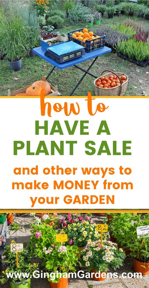 Plant Sale Ideas Diy, How To Arrange Plants In Garden, Best Plants To Grow And Sell, Sell Plants From Home, How To Start A Plant Business, Plant Selling Ideas, Plant Nursery Ideas Greenhouses, Selling Plants From Home, Starting A Plant Nursery