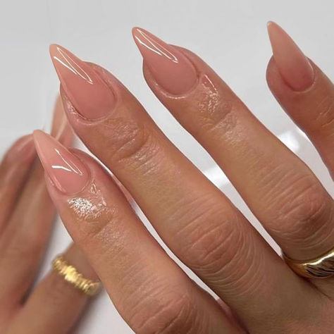 Coral Press on Nails Medium Stiletto Almond,KQueenest Glossy Peach Color Press on Acrylic Nails Set,Reusable Medium Fake Nails for Women Nails Art Manicure in 24 PCS. Press On Acrylic Nails, Medium Stiletto, Press On Nails Medium, Acrylic Nail Set, Nails Set, Nails Medium, Nails For Women, Peach Color, Nails Art