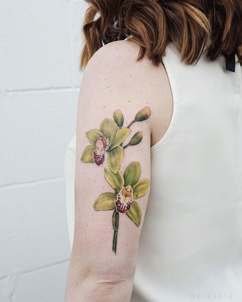 Cymbidium Orchid Tattoo, Orchid Sleeve Tattoo, Orchid Flower Sleeve Tattoo, Cymbidium Orchids Tattoo, Green Orchid Tattoo, Orchid Tattoo Color, Orchid Tattoo Meaning, Orchid Tattoo, M Tattoos