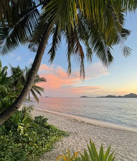 Fiji Islands, Coastal Life, Sunset Pictures, Summer Dream, Summer Pictures, Beach Aesthetic, Nature Aesthetic, Pretty Places, Travel Aesthetic