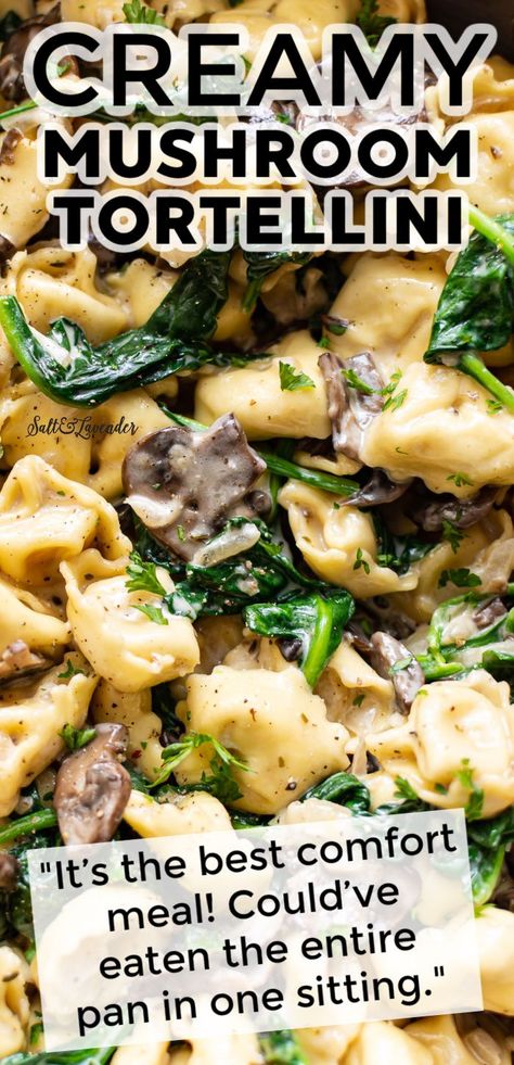 Dinner is made easy with this one pan creamy tortellini recipe! It's loaded with juicy mushrooms and spinach in a garlic cream sauce, and there's hardly any cleanup! Creamy Spinach Tortellini Soup Crockpot, Cheese Tortellini Mushroom Recipes, Tortellini With Mushroom Cream Sauce, Tortellini With Mushrooms And Spinach, Tortellini And Mushrooms, Garlic Chicken Tortellini Recipes, Sausage Stuffed Tortellini Recipes, Tortellini Mushroom Soup, Mushroom Tortellini Sauce