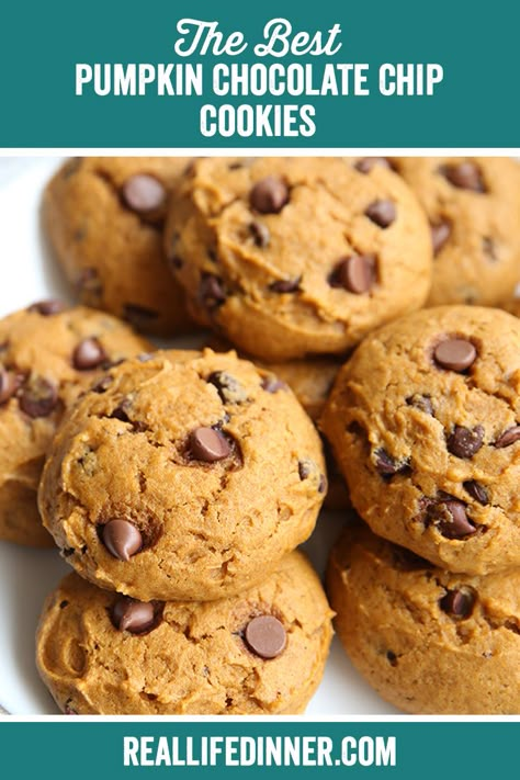 The Best Pumpkin Chocolate Chip Cookies ~ https://reallifedinner.com Best Pumpkin Chocolate Chip Cookies Recipe, Pumpkin Chocolate Cookies Recipes, The Best Pumpkin Chocolate Chip Cookies, Moist Pumpkin Chocolate Chip Cookies, Pumpkin Choc Chip Cookies, Best Pumpkin Chocolate Chip Cookies, Pumpkin Chocolate Chip Cookies Recipe, Pumpkin Chip Cookies, Chocolate Chip Pumpkin Cookies