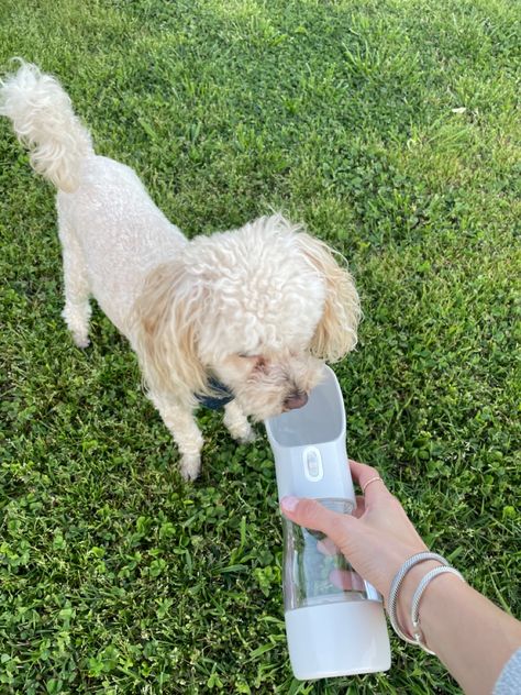 This is the best portable dog water bottle! The bottom has a food container as well! I always add a few treats in there! Travel Dog Water Bottle// Dog Food Container// Dog Water Bottle for Walking// Water bottle Dispenser for dogs// Animal Water Bottle// Portable Water Bottles for animals// Water bottles for cats or dogs// Drinking water bottle for animals// Travel Water Bottle for animals// Amazon Finds// On the go water bottle dispenser// Dog Must Haves// Dog Accessories// Animal Accessories Portable Dog Water Bottle, Dog Drinking Water, Walking Water, Dog Food Container, Dog Water Dispenser, Travel Dog, Bottle Dispenser, Pet Water Bottle, Dog Water Bowls