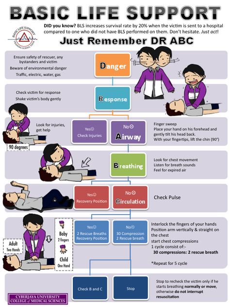 BLS Algorithm Basic Life Support Poster, Emt Basic, Health And Safety Poster, Paramedic School, Nursing Cheat, Medical Tips, First Aid Tips, Basic Life Support, Hospital Health