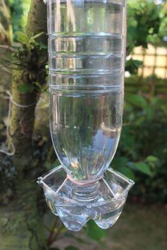 Water For Birds, Bird Feeder Station, Homemade Bird Houses, Homemade Bird Feeders, Water Station, Simple Garden, Water Source, Diy Bird Feeder, Garden Birds