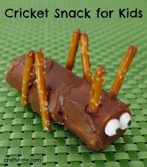 Cricket Snack for Kids - so cute! Worm Snacks For Preschool, Bible School Snacks, Kid Cooking, Vbs Snacks, Bug Snacks, Spring Snacks, Bug Party, Camping Snacks, Snack For Kids