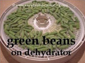 Dehydrate Vegetables, Foodsaver Ideas, Green Beans Chips, Food Dehydrator Recipes, Dehydrated Green Beans, Garden Beans, Dehydrator Ideas, Dehydrating Food Storage, Green Bean Casserole Easy