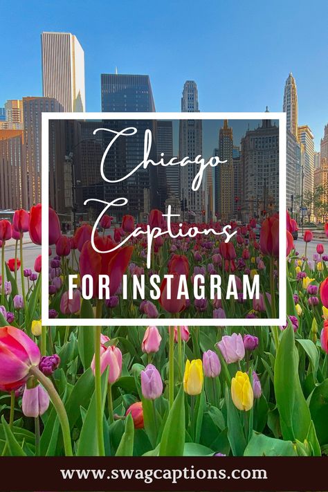 Looking for some Chicago-themed captions and quotes to share on your Instagram? Look no further! We've got you covered with a list of the best ones. So go ahead and show off your city pride with these amazing snaps. #chicagocaptions #chicagoquotes #chicago #newyork #atlanta #losangeles #miami #illinois #california #music #chitown #love #hiphop #usa #texas #explorepage #florida #houston #chicagogram #art #fashion #photography #nyc #rap #dallas #explore #windycity #detroit #lasvegas Insta Captions For Chicago, Chicago Captions Instagram, Chicago Quotes, Travel Puns, Cute Insta Captions, Art Fashion Photography, Chicago Summer, Selfie Quotes, Michigan Avenue