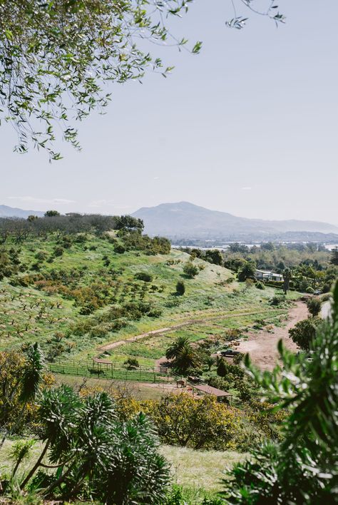 Regenerative Agriculture Farms, Regenerative Agriculture Design, Agriculture Aesthetic, Regenerative Design, Regenerative Farming, Oregon Life, Regenerative Agriculture, Carbon Sequestration, Natural Farming