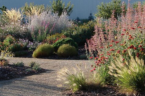 Water Conscious Landscaping, Bio Diverse Lawn, Bio Diverse Garden, Utah Localscape, Localscape Utah, Utah Native Landscaping, Drout Tolerant Landscaping Front Yard, Landscape Principles, Utah Native Plants