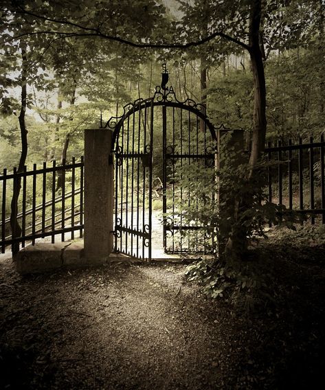 Gate into the Old Kahlenberg Cemetery, Vienna Old Gates, Old Cemeteries, Iron Gates, Belem, Fence Gate, Iron Gate, Garden Gates, Abandoned Places, Graveyard