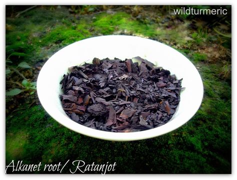 Ratanjot (Hindi name) was used to add natural deep red color in North Indian dishes for years. Sadly, it is replaced by synthetic red colors now. We call it “Vembalampattai” in Tamil. It is called… North Indian Dishes, Alkanet Root, Ayurvedic Hair Growth, Hair Oil Recipe, Spa Recipes, Ayurvedic Hair, Homemade Hair, Homemade Cosmetics, Magical Herbs