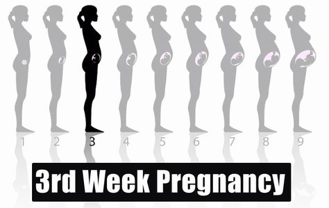 3rd Week Pregnancy - Symptoms, Baby Development, Tips And Body Changes 3 Weeks Pregnant, Pregnancy Weeks, Pregnancy Kit, Planning To Get Pregnant, Stages Of Pregnancy, Pregnancy Hormones, Baby Stage, Pregnancy Months, Mom Junction