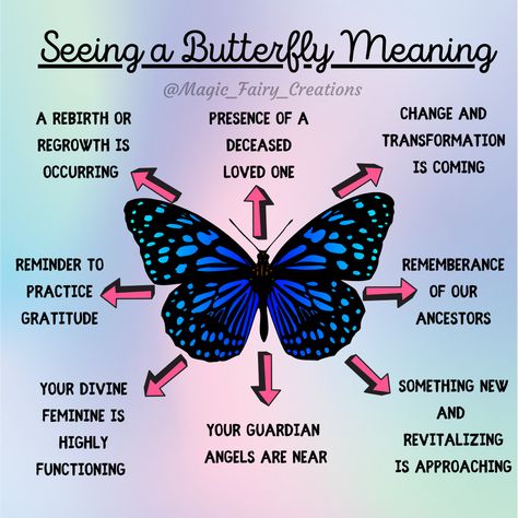 Butterflies With Meaning, Seeing A Butterfly Meaning, What Does A Butterfly Symbolize, Spirit Guides Aesthetic, Seeing Butterflies Meaning, Butterfly Witchcraft, Butterfly Meaning Spiritual, Blue Butterfly Meaning, Butterfly Spiritual Meaning