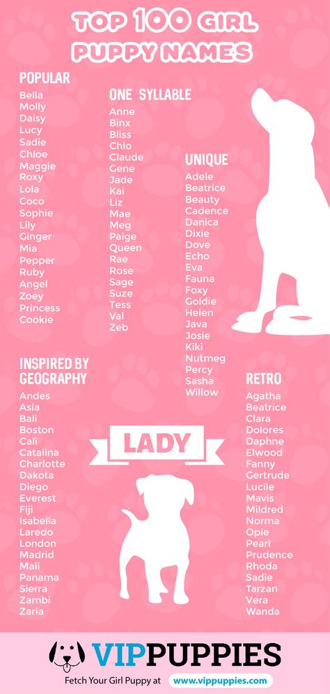 Girl Puppy Names - 1,000 Dog Names for Girls | VIP Puppies Cute Animal Names, Cute Puppy Names, Cute Pet Names, Dog Names Unique, Girl Dog Names, Female Dog Names, Best Dog Names, Cute Names For Dogs, Names Girl