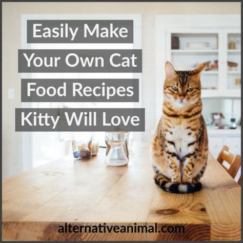 Make Your Own Cat Food, Animal Diet, Kitty Recipes, Homemade Cat Treats Recipes, Cat Food Recipes, Diy Cat Food, Senior Cat Food, Healthy Cat Food, Raw Cat Food Recipes