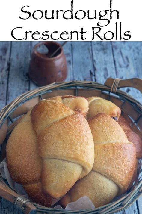 sourdough crescents in a blue basket. Crescent Roll Bread, Dough Starter Recipe, Roll Dough Recipe, Crescent Roll Recipes Dinner, Crescent Rolls Recipe, Homemade Crescent Rolls, Simple Sourdough, Buttery Rolls, Sourdough Rolls