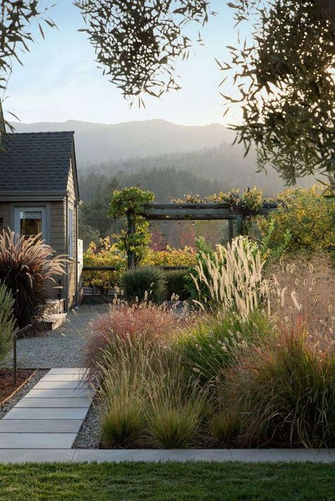 Dream Landscapes: 10 Perennial Gardens Inspired by Piet Oudolf - Gardenista Ornamental Grass Landscape, Australian Native Garden, Ornamental Grass, Dream Landscape, Landscaping Inspiration, Grasses Landscaping, Australian Garden, Grasses Garden, Native Garden