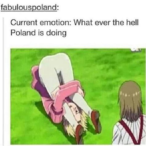 Hetalia meme| funny Hetalia Meme, Hetalia Poland, Poland Hetalia, Hetalia Memes, Take A Hint, Hetalia Funny, Hetalia Axis Powers, Code Geass, What Ever