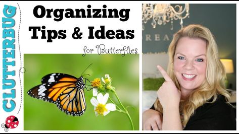 Butterfly Organization Style Clutterbug, Butterfly Organization, Office Design Diy, Free Printables Organization, Out Of Mind, Organization Board, Clutter Organization, Organization Inspiration, Organization Printables