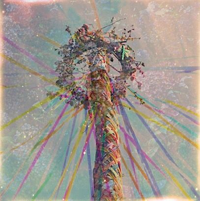 #beltane #maypole Maypole Aesthetic, Spring Solstice Aesthetic, Happy Beltane Images, Beltane Images, Beltane Maypole, Beltane Art, Beltane Aesthetic, Pagan Party, Sea Drawings