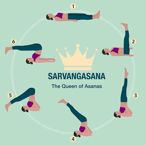 Salamba Sarvangasana is often referred to as the “queen” or mother of all asanas due to its complexity, sophistication, and overall harmonious effects on various systems of the body. This reminds us of qualities that many mothers and women throughout history have and continue to display: courage, confidence, composure, and intelligence. If inversions are not a part of your practice, perhaps practice Setu Bandha Sarvangasana (Bridge) or Viparita Karani (Legs Up the Wall). Shoulder Stand Yoga, Viparita Karani, Stand Pose, Legs Up The Wall, Shoulder Stand, Naturopathy, Endocrine System, Yoga Art, Yoga Postures