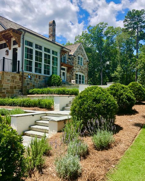 Podcast, Ep. 250: Landscape Design with Carmen Johnston - How to Decorate Carmen Johnston Gardens, Boxwood Planters, Landscape Plan, Magnolia Trees, How To Decorate, Landscape Architect, Shade Garden, Container Plants, Outdoor Design