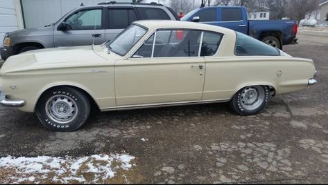 Real Potential: 1965 Plymouth Barracuda #Survivors #Plymouth - https://barnfinds.com/real-potential-1965-plymouth-barracuda/ 1965 Barracuda, Plymouth Cars, Plymouth Valiant, 1960s Cars, Chrysler Cars, Rural America, Plymouth Barracuda, The Falcon, Chevy Nova