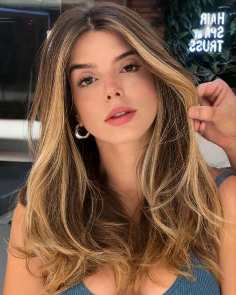 Softening Light Warm Front Highlights Honey Blonde Face Framing Highlights, Light Brown Hair With Highlights And Lowlights, Brown Hair With Blonde Streaks, Blonde Highlights On Brown, Blonde Highlights On Brown Hair, Highlights On Brown Hair, Hair Caramel, Blonde Lowlights, Rambut Brunette