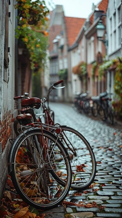 Quaint Cobblestone Street: A vintage bicycle leans against a brick wall on a narrow cobblestone street lined with houses. #bicycle #cobblestone #street #autumn #leaves #aiart #aiphoto #stockcake ⬇️ Download and 📝 Prompt 👉 https://ayr.app/l/XphS Cobblestone Street, Street Image, European Street, A Brick Wall, Cobblestone Streets, Vintage Bicycle, Dance Photos, Vintage Bicycles, Brick Wall