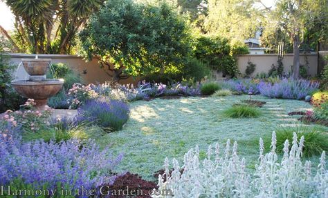 Sustainable Garden Design, Evergreen Landscape, Lawn Alternatives, Drought Tolerant Garden, Drought Tolerant Landscape, Aesthetic Couple, Mediterranean Garden, Sustainable Garden, Front Yard Garden