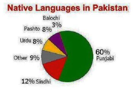 Native languages of Pakistan Pakistan Language, Punjab Pakistan, Nativity, Pakistan, Pie Chart, Speaker, Pie, Quick Saves