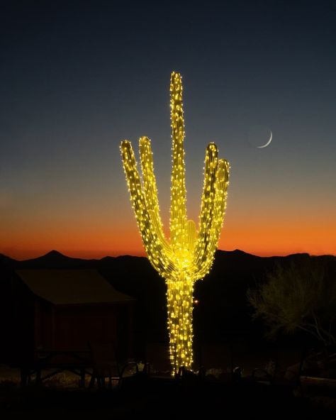 Arizona Style, Merry Christmas And Happy Holidays, Holiday Lookbook, Saguaro Cactus, Photo Of The Day, Holiday Weekend, Christmas Wallpaper, Stay Safe, Home Decor Bedroom