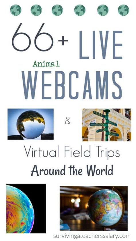 Pet Cam, Free Homeschool Resources, Virtual Field Trips, Make A List, Virtual Travel, Teacher Teaching, Live Animals, Education School, Virtual Learning